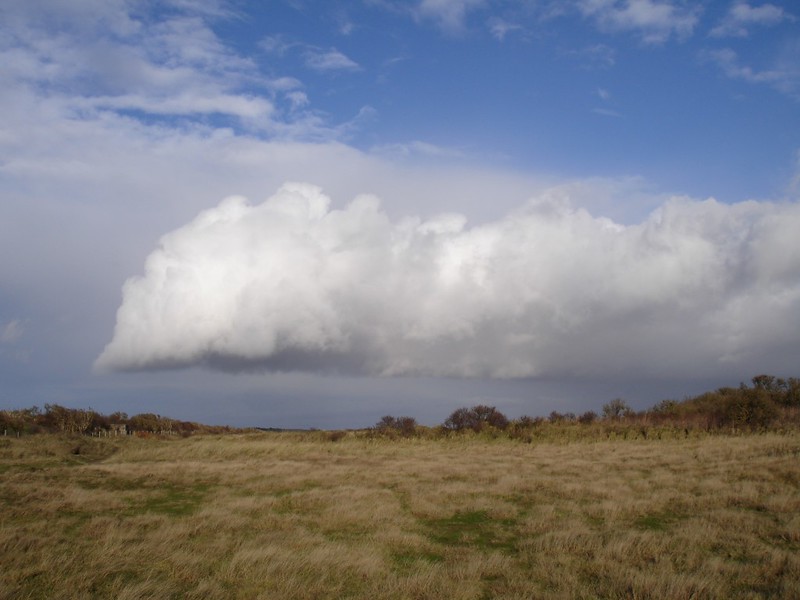 Coastal sand dunes