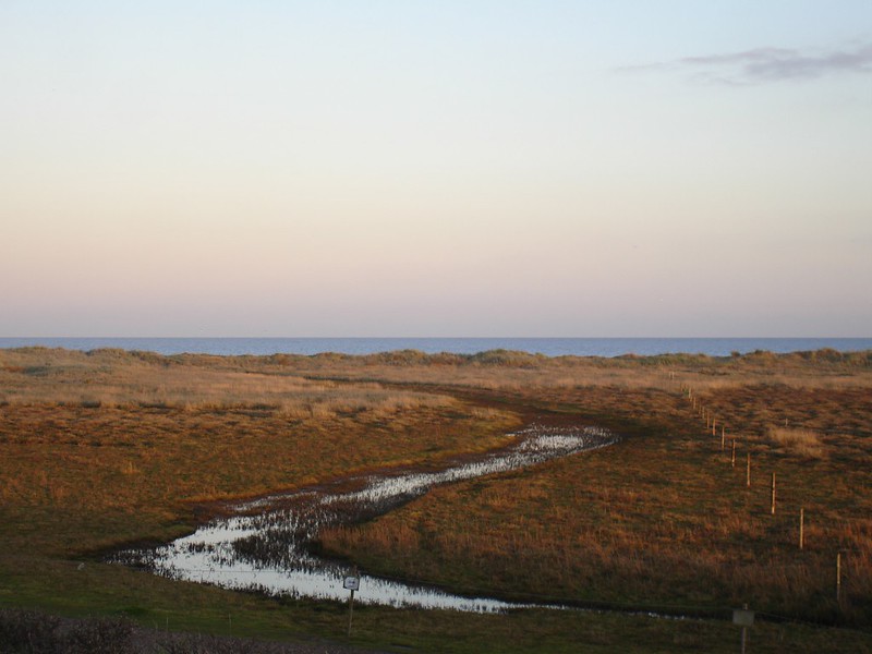 Coastal saltmarsh