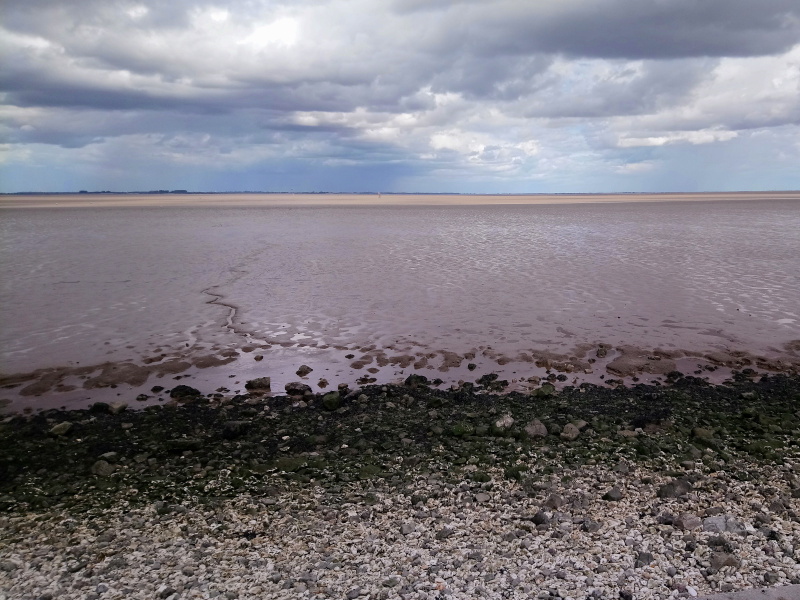 Mudflats